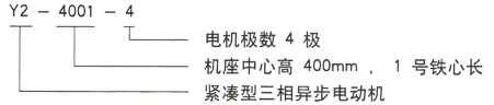 泰富西瑪Y系列三相異步電機(jī)型號說明 泰富西瑪Y系列三相異步電機(jī)型號說明