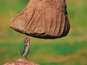 電機(jī)燒毀原因及案例解析——西安泰富西瑪電機(jī)(西安西瑪電機(jī)集團(tuán)股份有限公司)官方網(wǎng)站 電機(jī)燒毀原因及案例解析——西安泰富西瑪電機(jī)(西安西瑪電機(jī)集團(tuán)股份有限公司)官方網(wǎng)站