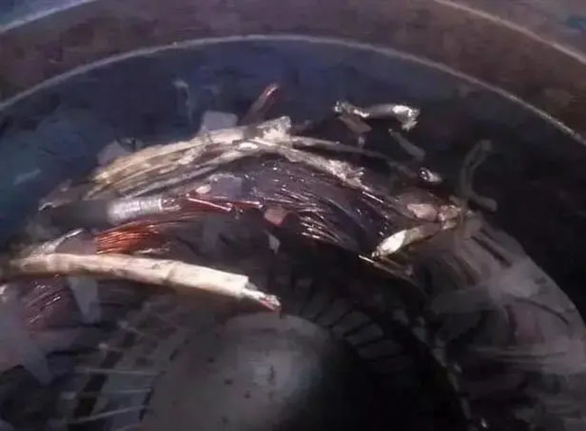 帶熱繼電器保護的電機頻繁燒毀的原因是什么? 帶熱繼電器保護的電機頻繁燒毀的原因是什么?