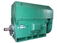Y系列高壓三相異步電機(jī)——西安泰富西瑪電機(jī)(西安西瑪電機(jī)集團(tuán)股份有限公司)